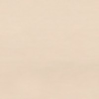 Biscuit Beige