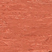 Brushed Ochre